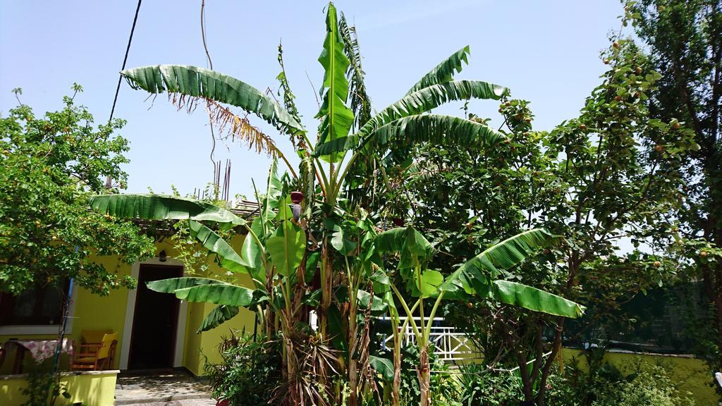מאראת'וקאמפוס Hotel Mando מראה חיצוני תמונה